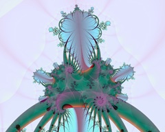 Banksia