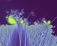 Moonlit glade