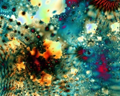 Through a glass