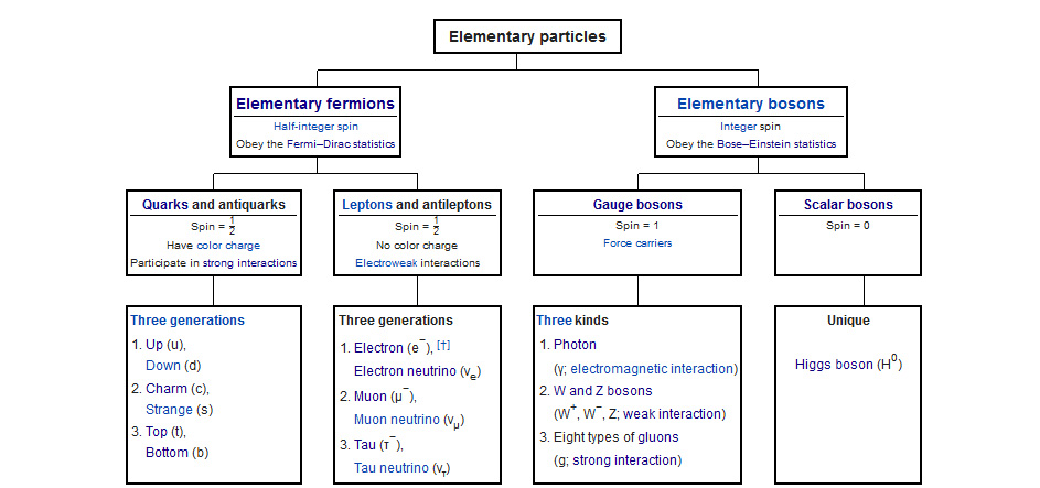 Standard Model particles