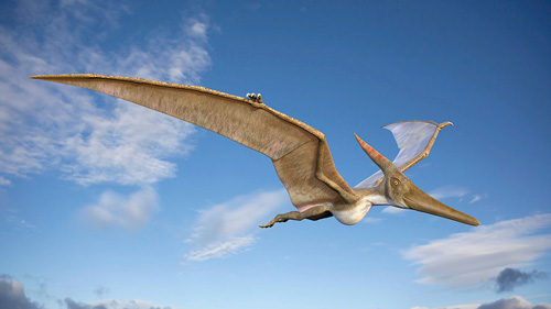 pterosaur