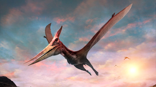 pterosaur